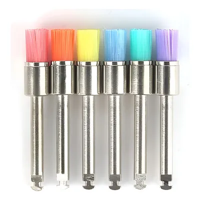 CEPILLITOS BROCHITA PARA LIMPIEZA