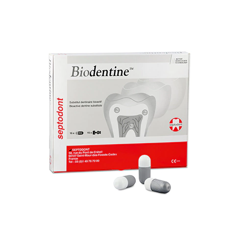 BIODENTINE - SEPTODONT